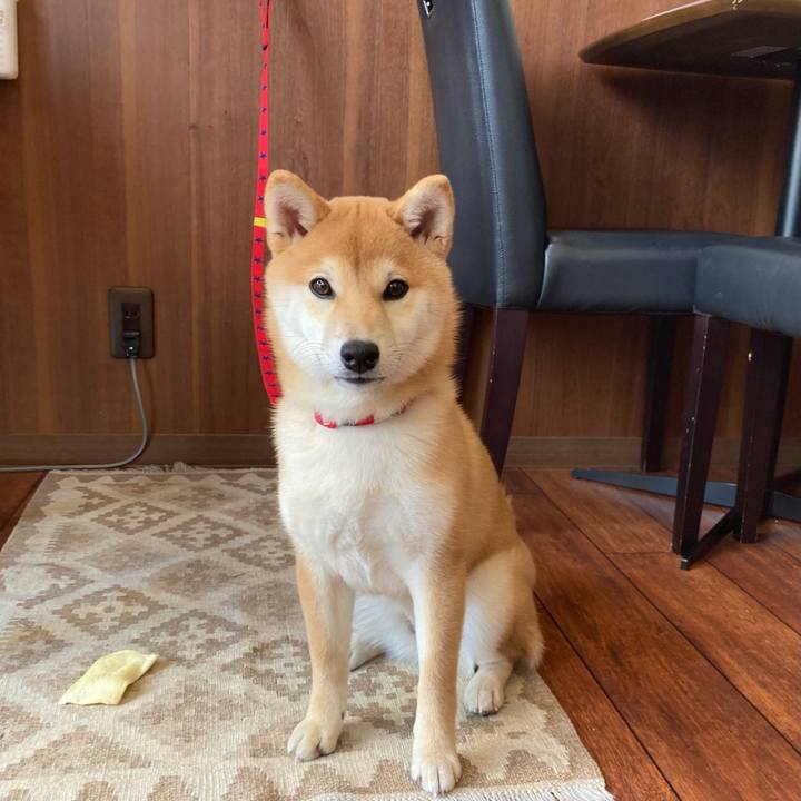 4eaed4d4 120d 4015 8990 fa45d56362a0 1638790414418