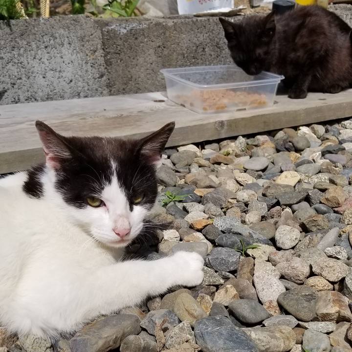 4eaedfff 5512 4b0e 8790 3f1c05729289 1561335055438