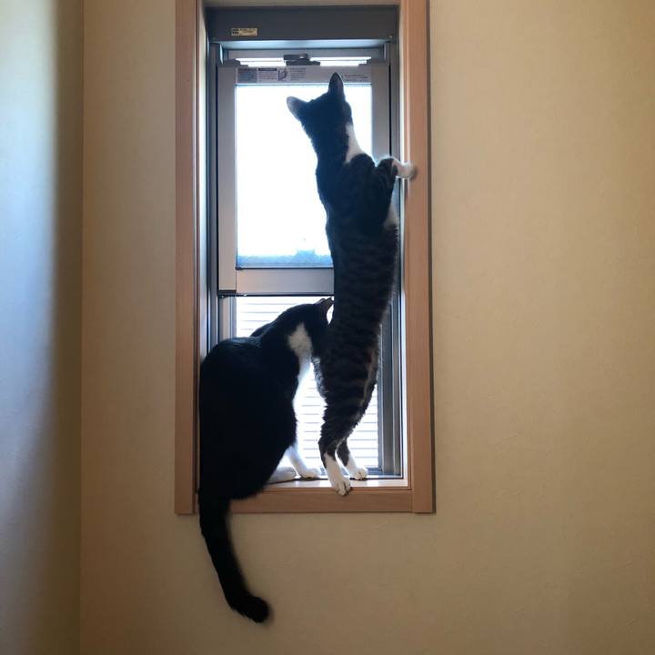 4eaef0cc f405 4c19 8f80 857738bd8167 1557059355701