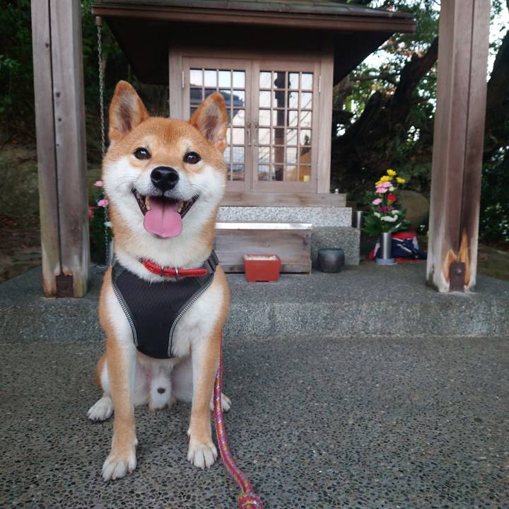 4eaeff94 e5b8 42ab b361 b047e03e7897 1760401223472