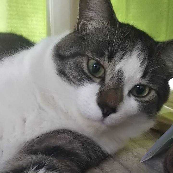 4eaf3c14 7067 4a07 8b67 64d2b7a77789 1603409145286