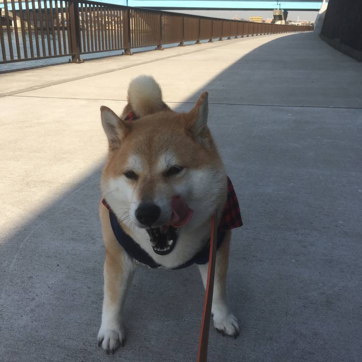 4eaf3eb1 d23c 4104 af89 7f65ce6fb417 1546929547391