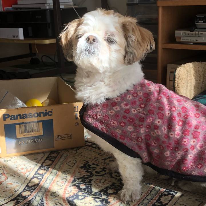 4eaf7d7b df5e 4700 a919 2310b8e9c08b 1610315616990