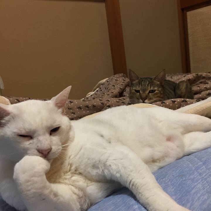 4eaf9552 5190 43be 8002 f798fbeb7eb3 1535923727794