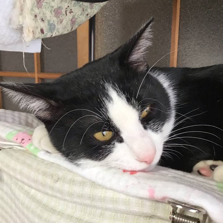 4eafac60 7359 4389 ac4a bab9f5c67cd5 1642204793600