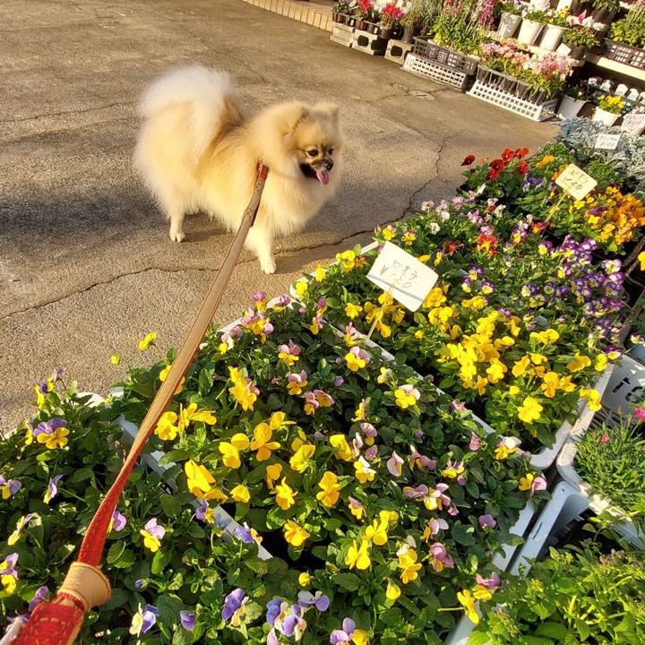 4eafbf57 d77f 4c6f 8d84 bd4a45c92e42 1667527075336