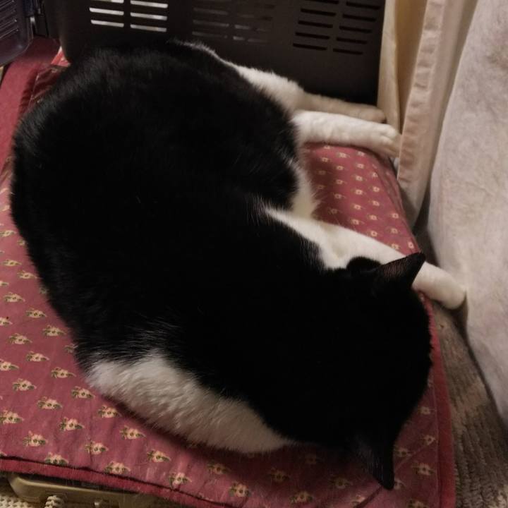 4eb024bc 5c13 481d 88fa ceb2cb79a216 1549316938684