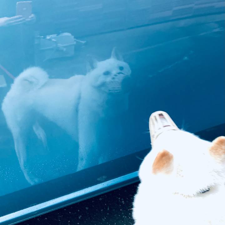 4eb08128 13b1 4972 af4b 116d389f3643 1602971803949