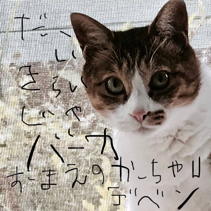 4eb0b5a5 3d3e 43e3 a0d0 551258ee42b6 1563107148054