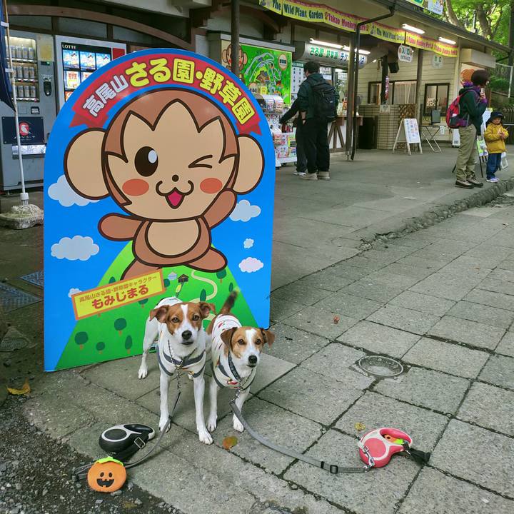 4eb0ef92 4b9e 4c66 9ef7 d797dfd25f3b 1761724693802