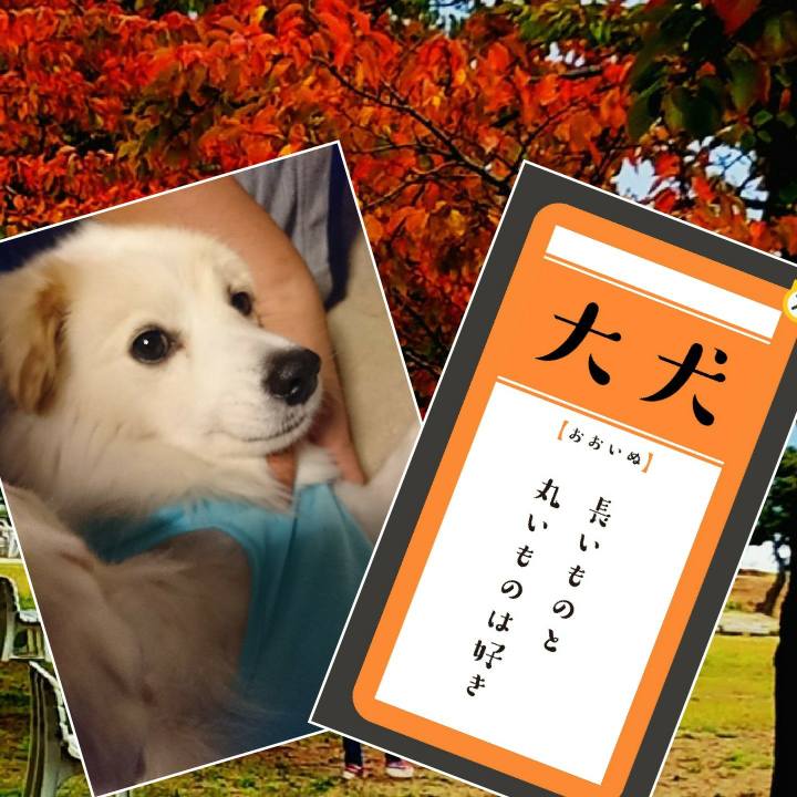 4eb1793a 94d5 49f6 b34b cbf671fd706b 1507808204288