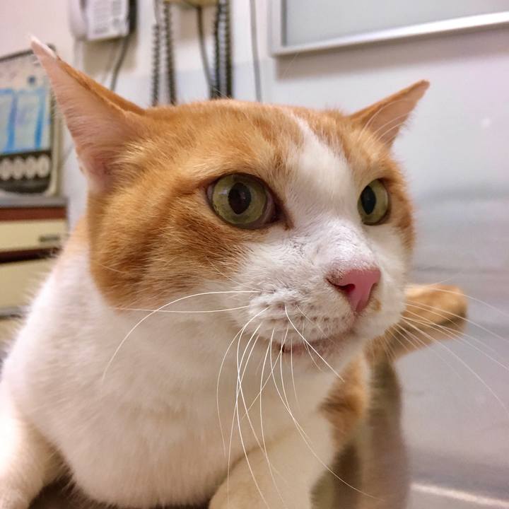 4eb19777 93b2 4cf7 a63d 37996196526c 1575356946202