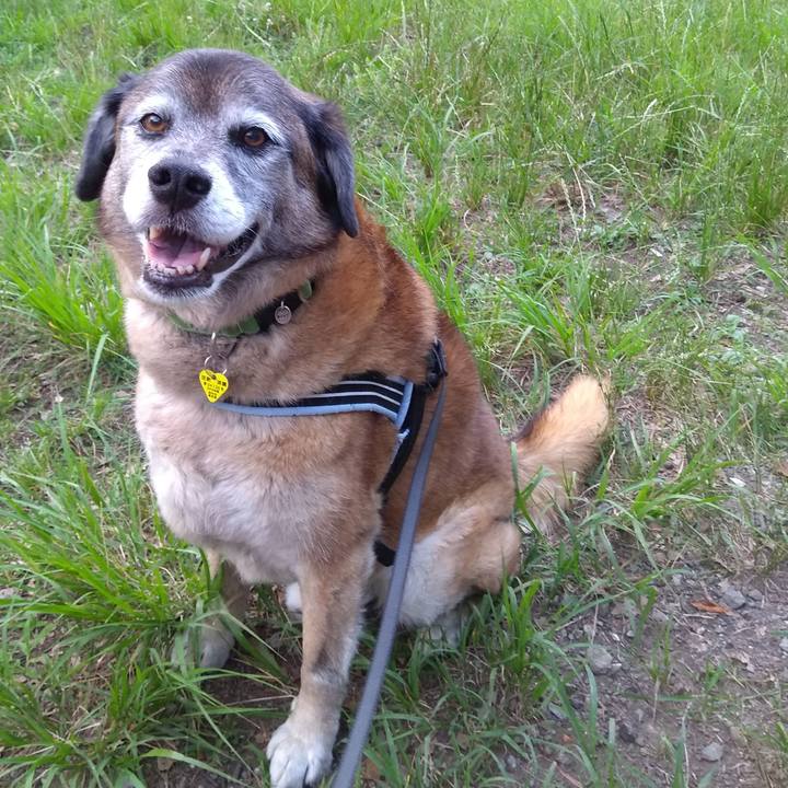 4eb1998c c767 49b2 88e8 35e9119499d8 1561111714002