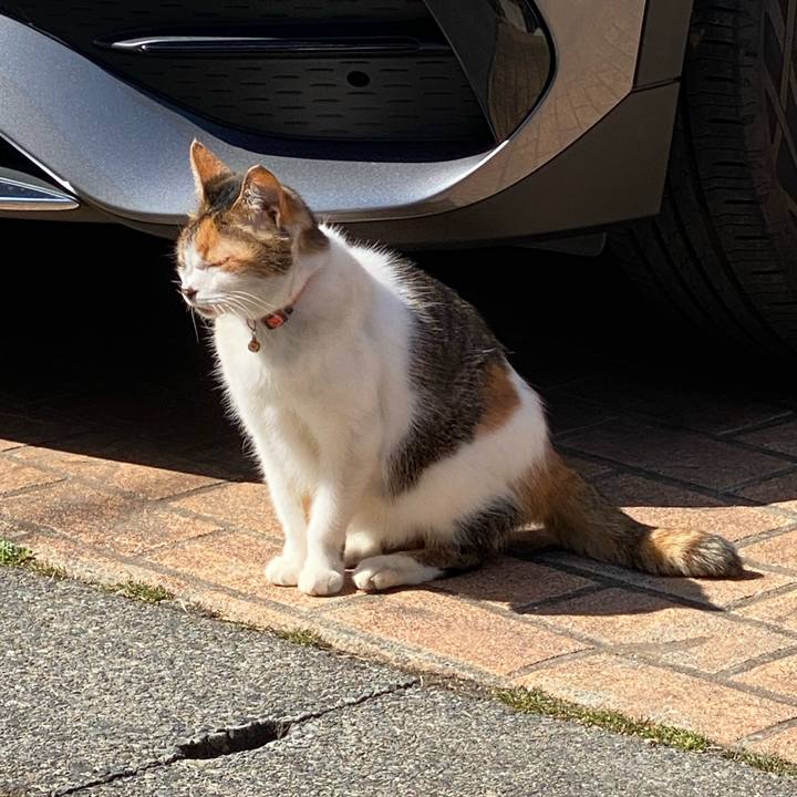 4eb1a73f ad01 488b b70e c262a35153d4 1645844454991