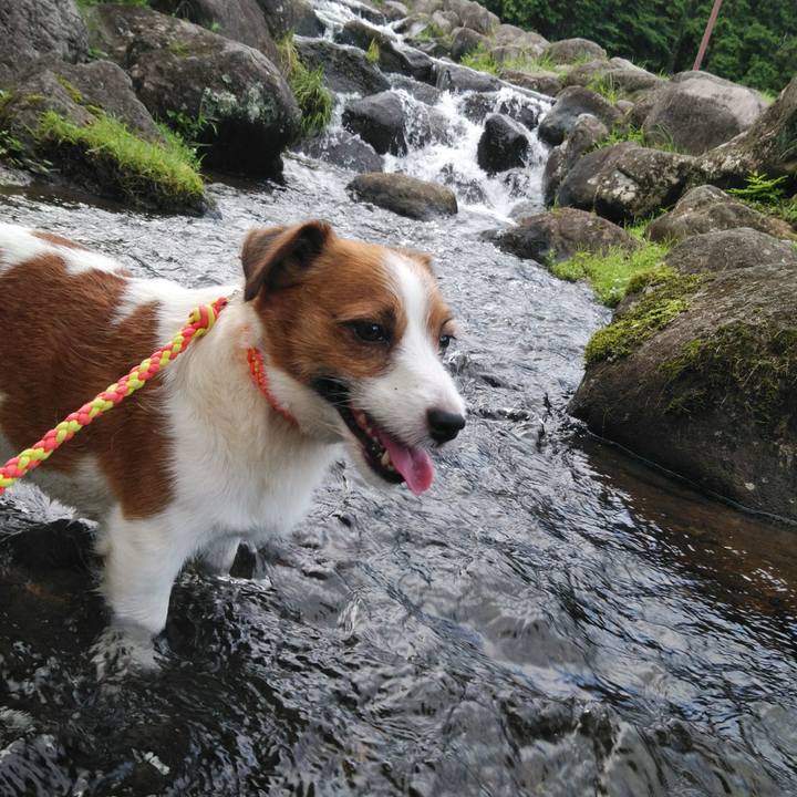 4eb1c30f 5447 4658 a2e2 0247b5b4a636 1530350753168