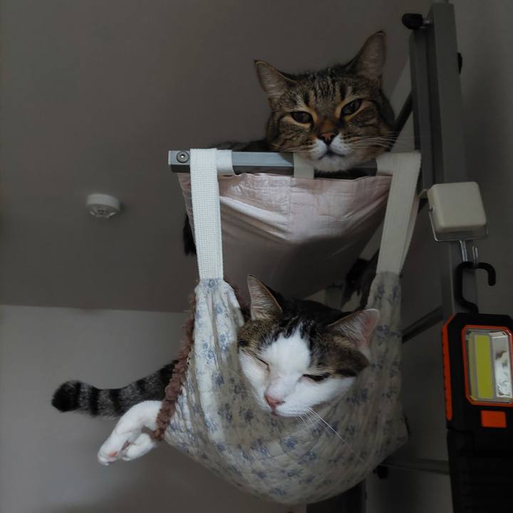 4eb1e3b6 edbe 4683 82e5 1944ccf060ab 1693478711988