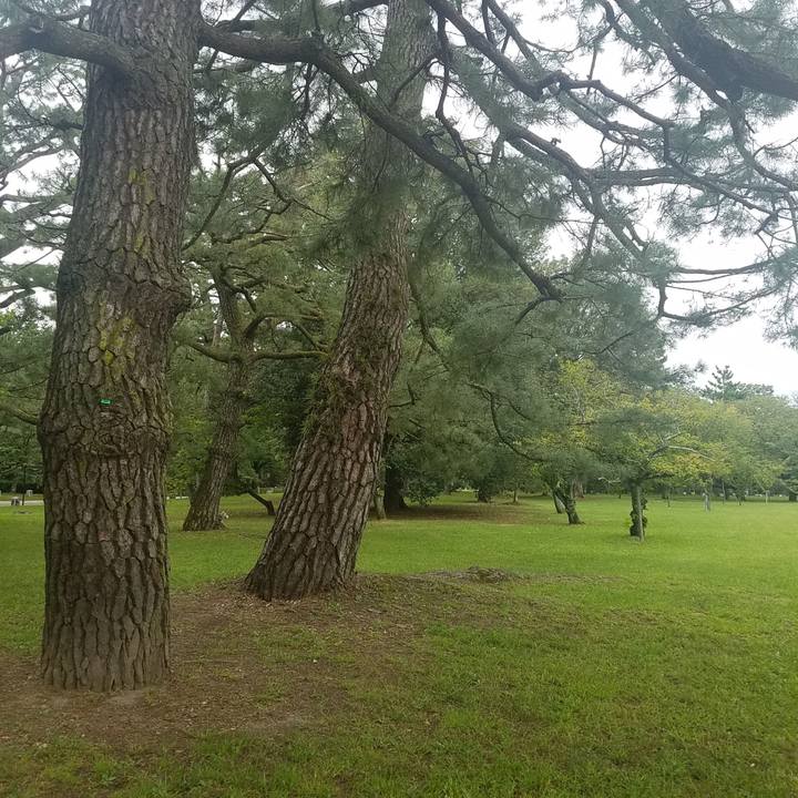 4eb1f368 8186 4f0c 960f 4876fc55d938 1569134384964