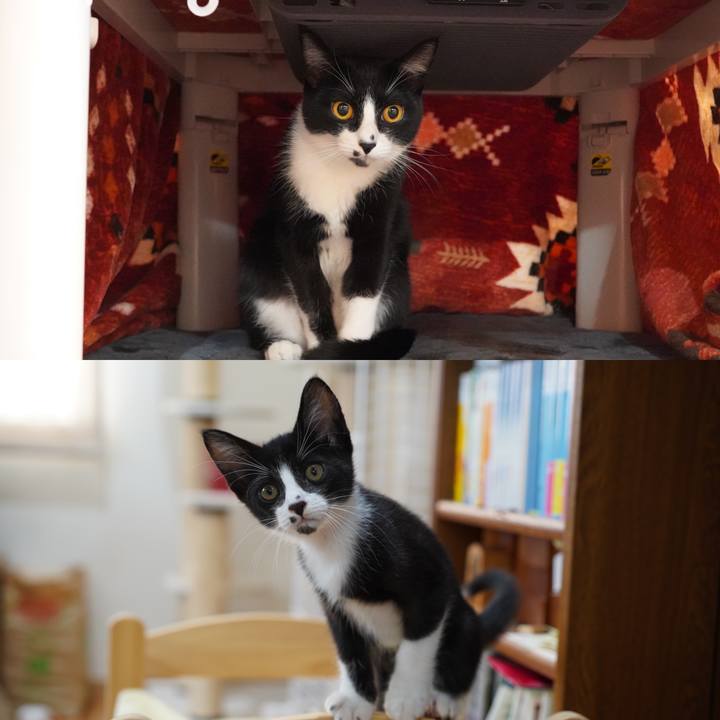 4eb232d1 c118 400d 8bda 5b4337a69353 1605104654194