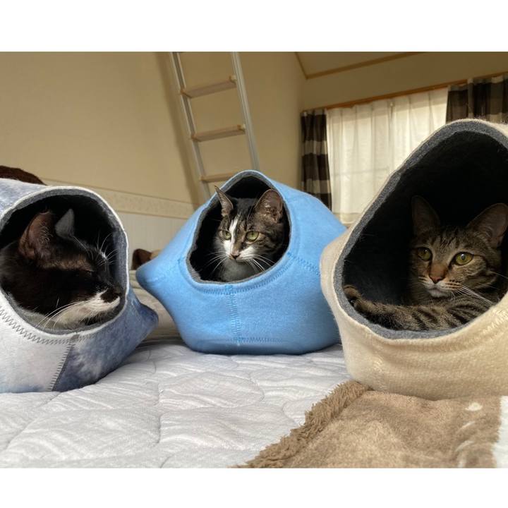 4eb24413 1f83 445b 8101 823621ba63dc 1686064816018