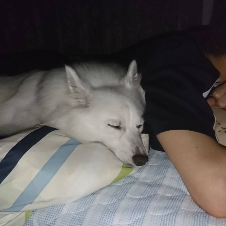 4eb244f3 0c9d 41d1 b389 7e27e26bd6e5 1537112763986