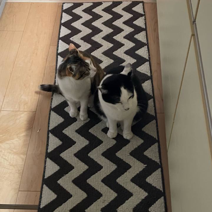 4eb247e1 16e0 4907 b5b8 8987a9ff17d0 1651403149221