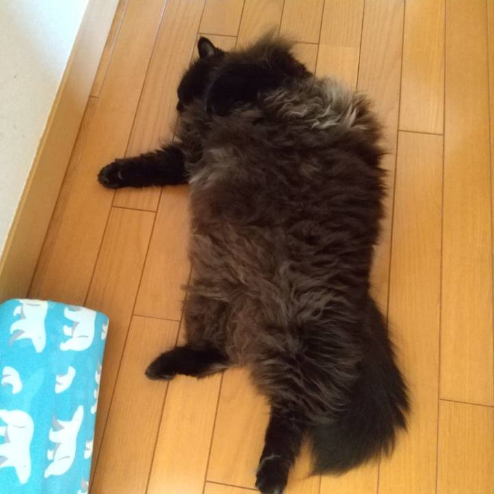 4eb26c42 72c3 4539 9356 eec562cd76bc 1663131756005