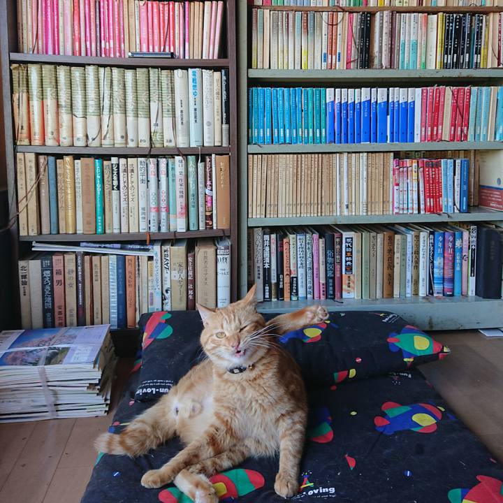 4eb27a22 fc0b 4a9d 83eb 71a133469511 1662874494049