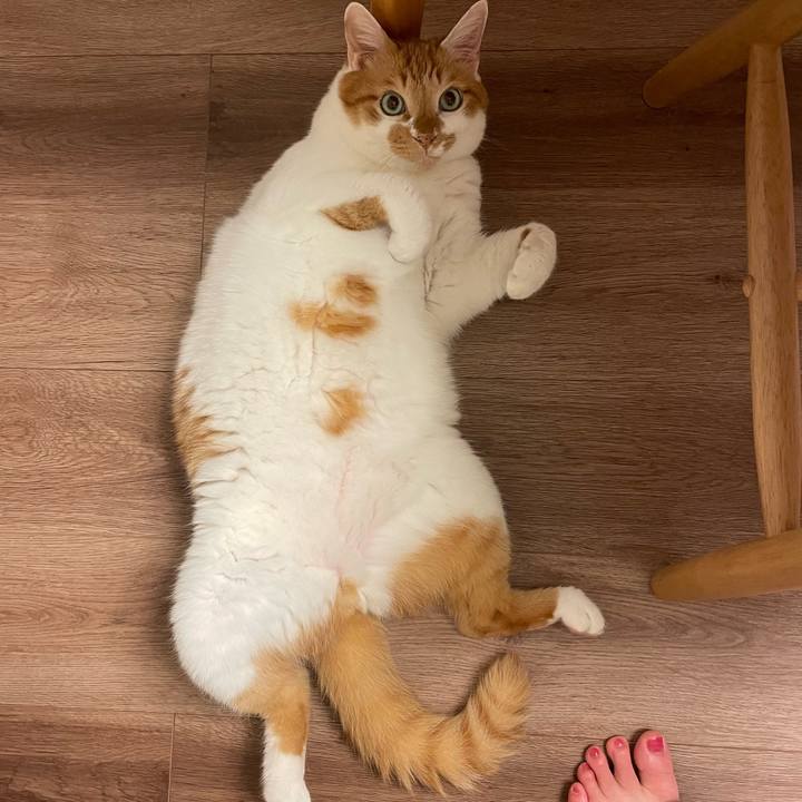 4eb27d53 3735 490c 8860 3371a93595c6 1729256899616