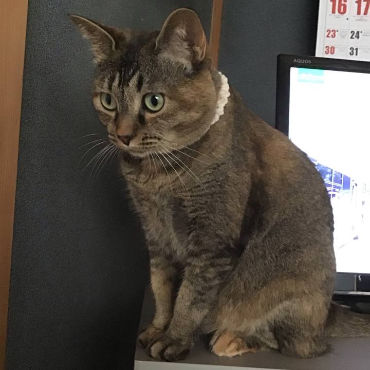 4eb285d2 f7f0 41cc b294 6b739ac718cc 1688734515973