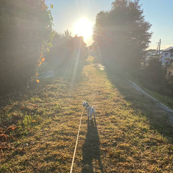 4eb29151 f886 4be7 9f7b df121ac13119 1668680252613