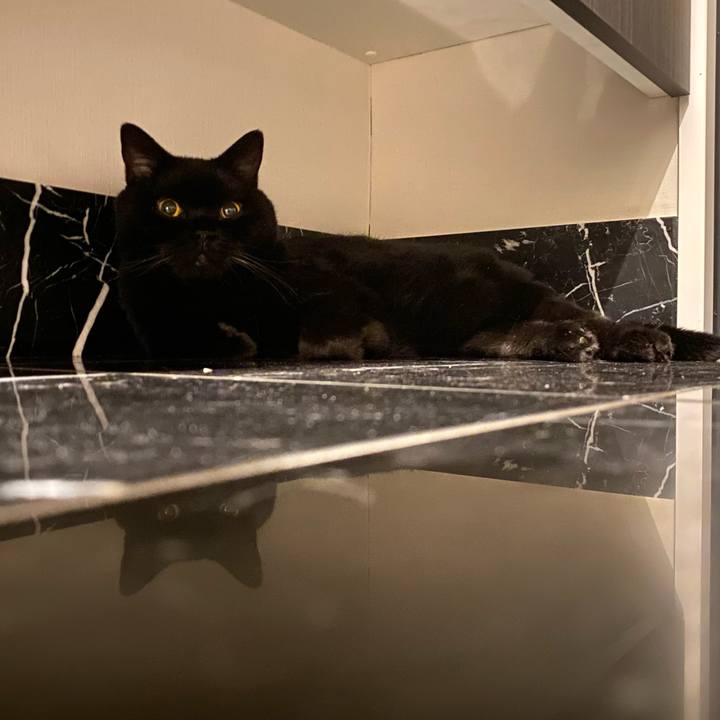 4eb29301 0fe7 47d2 80ab b555bfd1a566 1757937528071