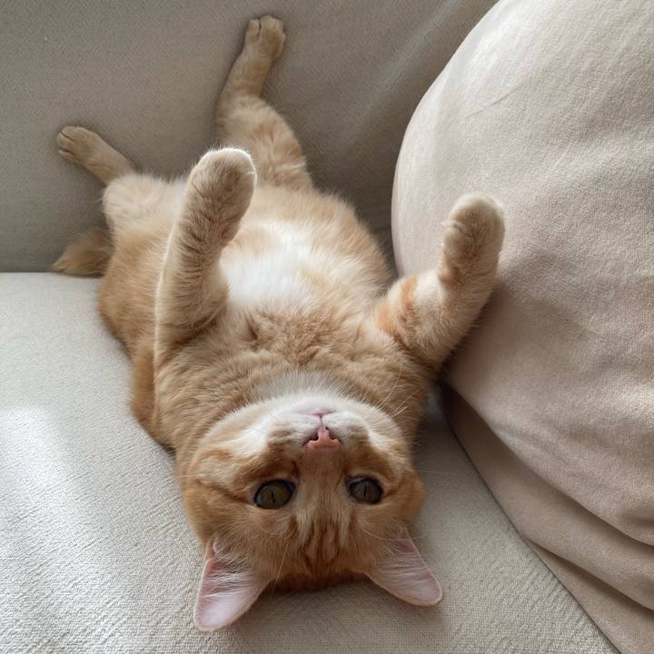 4eb29896 bd03 4ec4 b713 72f0e28bc739 1757286777821