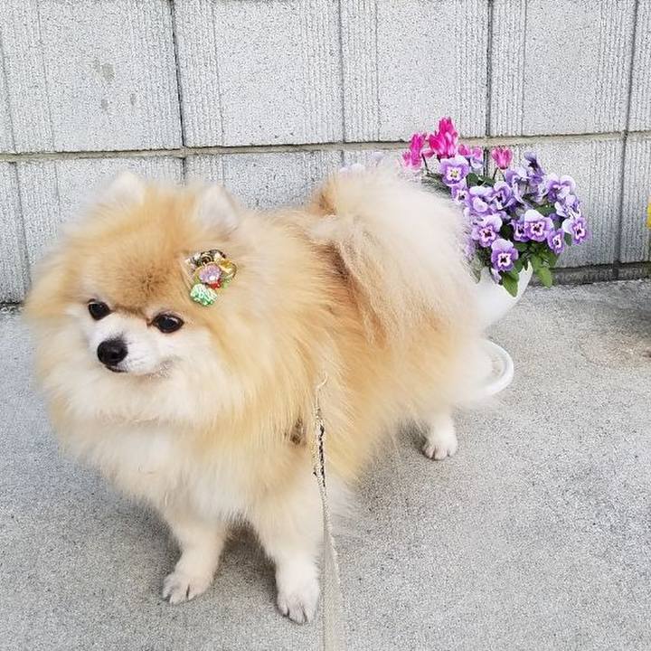 4eb32e93 d82b 4977 b171 e51e1897a75e 1691920035217