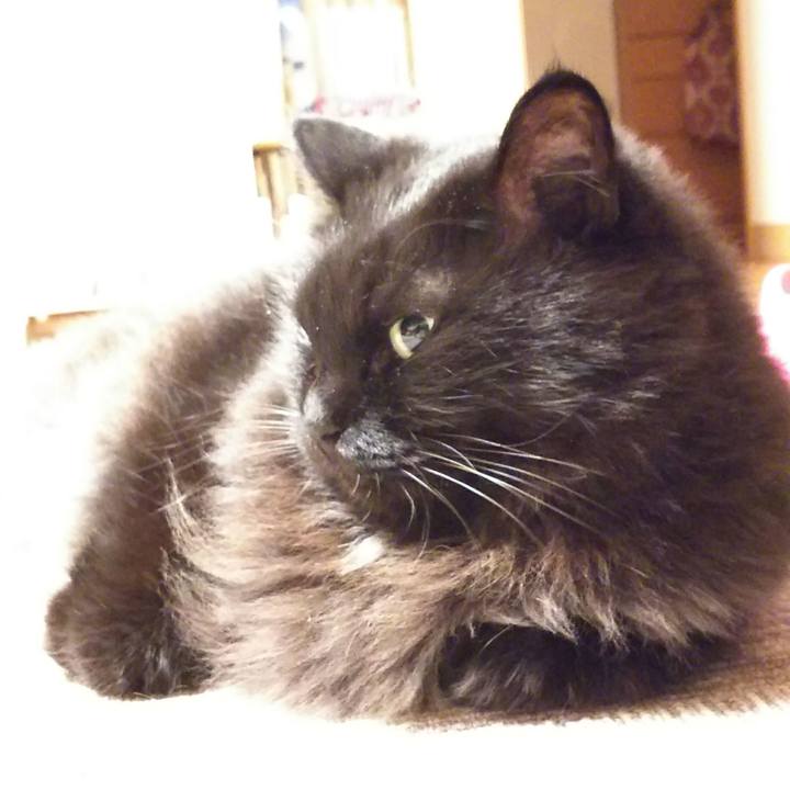 4eb36344 5ba7 4d88 9b98 79535cc4c5f4 1508491207031