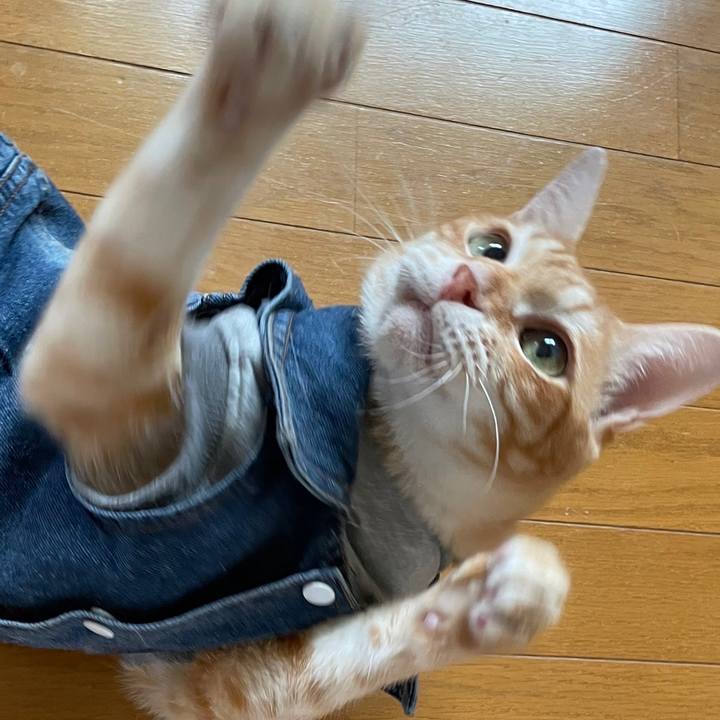 4eb379ae 2ed3 46e1 83d3 8f94e9dba65d 1644589684380