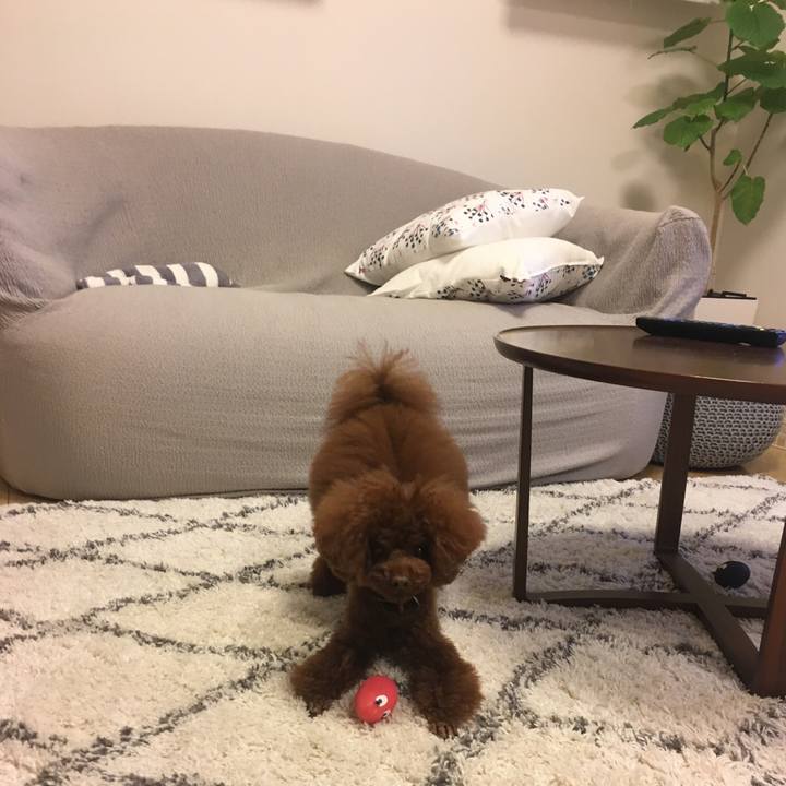 4eb38ea8 e6af 4527 ad75 eff964c1e591 1509362745112