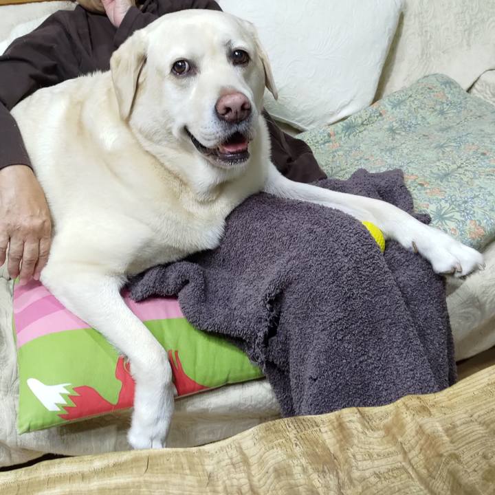 4eb3a1d5 34f2 4617 84be 879484ac4d69 1697765784977