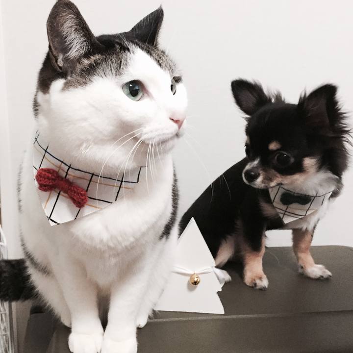 4eb3a792 3787 425f 8fb6 2df014f19c01 1514103690019