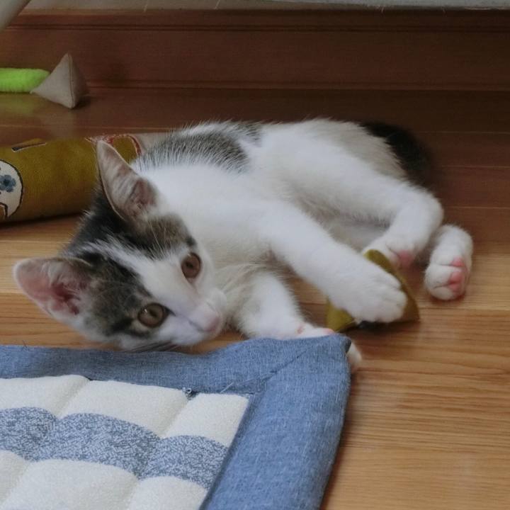 4eb3ca68 c8b4 4dde 8507 43ab300bdd07 1563683935040