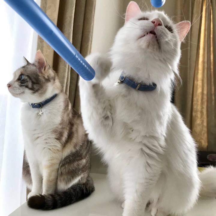 4eb40717 e494 41d8 a884 f31b33977637 1558581789763