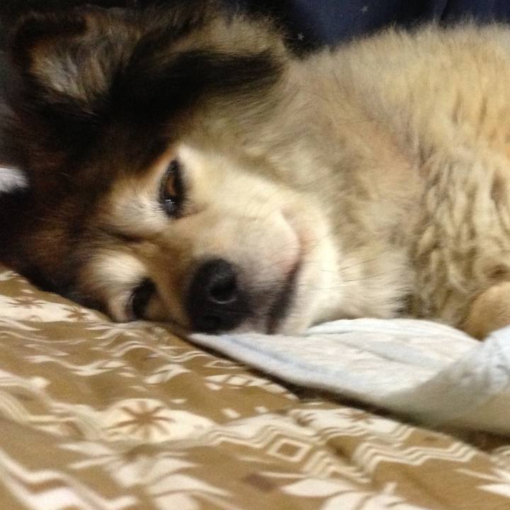 4eb412a3 9950 4b28 a5f8 f3084658e202 1623762005514