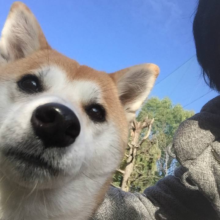 4eb45163 0b24 44b8 94ec 6c783b63f3cf 1512434798595