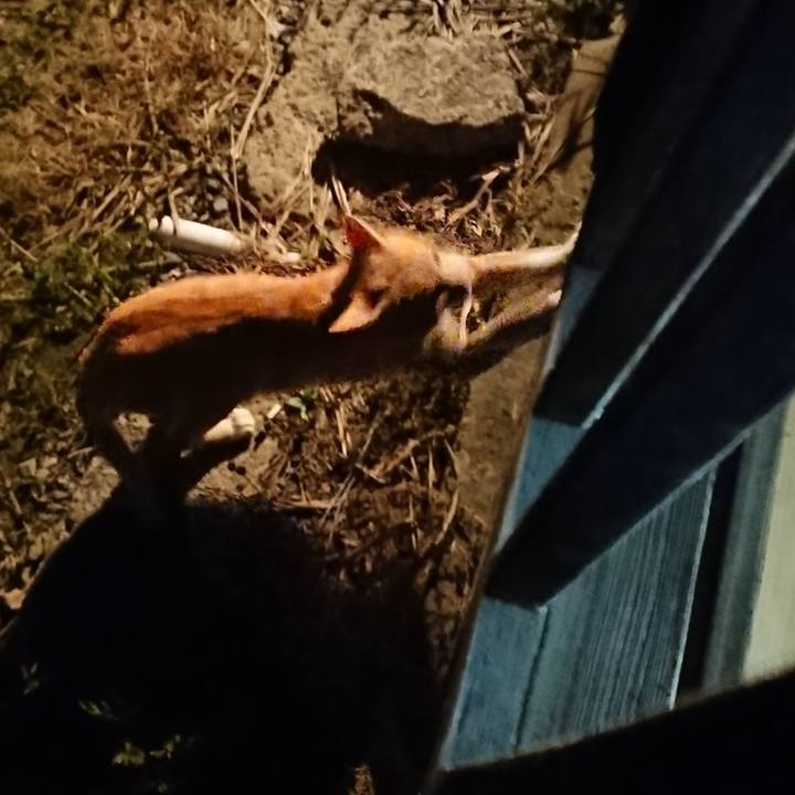 4eb459b3 9344 40fe 8580 eff5111040d7 1562155356428