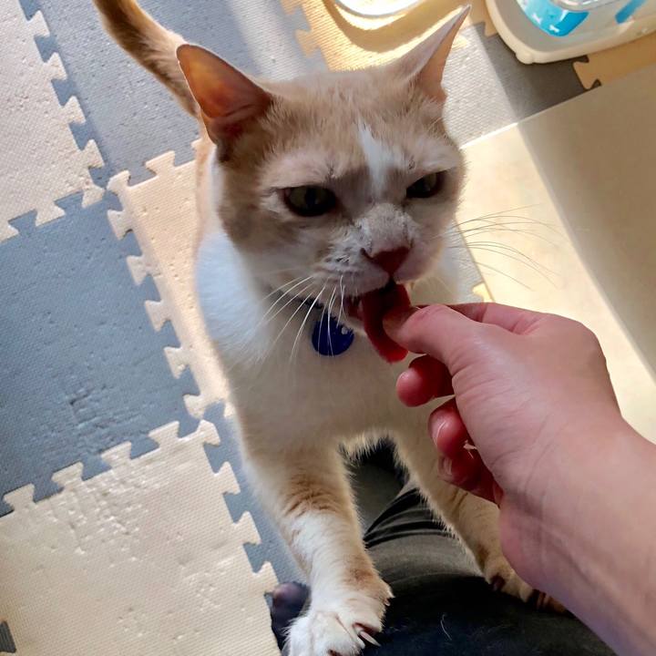 4eb4e171 5586 4790 8fc9 48a2e8fb102c 1524434129644