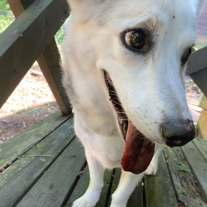 4eb4eee5 e187 4ae0 b39f 635bde2559b5 1717543097789