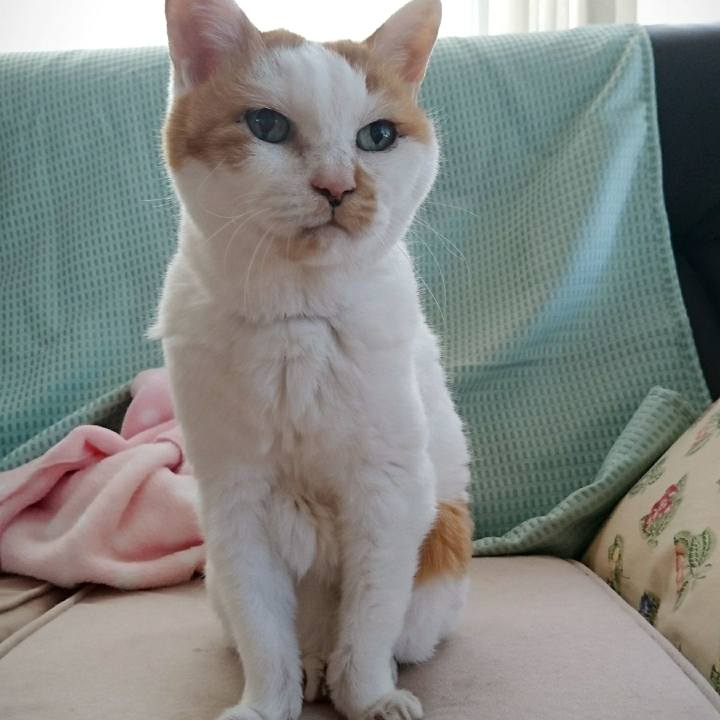 4eb51f33 5e22 4a23 b096 92ac62a3769c 1534722728835