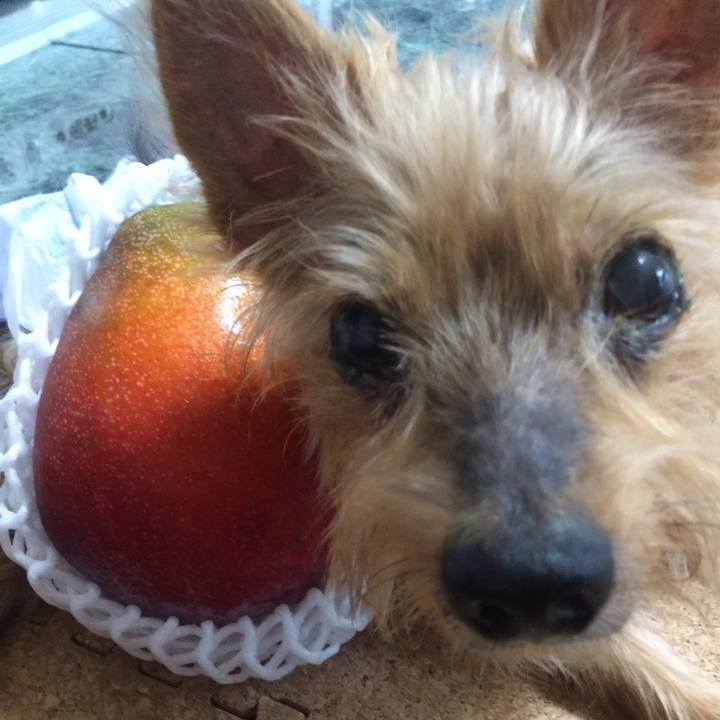 4eb55fa1 6e36 420e be81 43e1c9830a25 1754788052344