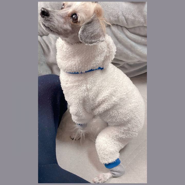 4eb56593 c65d 46fe a892 d8756c1038d9 1769909767289