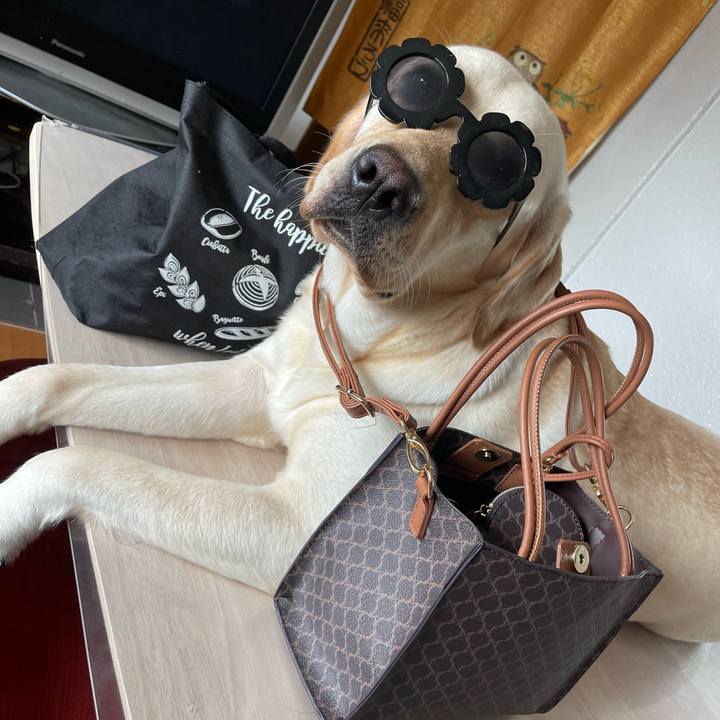 4eb59c4f 7060 4e9c b1b3 7e36c5dbb6f9 1661912709432