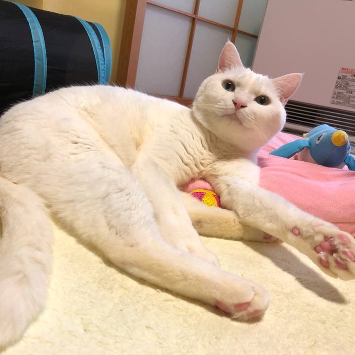 4eb5a519 755f 4847 8677 962828097b7a 1613400916006